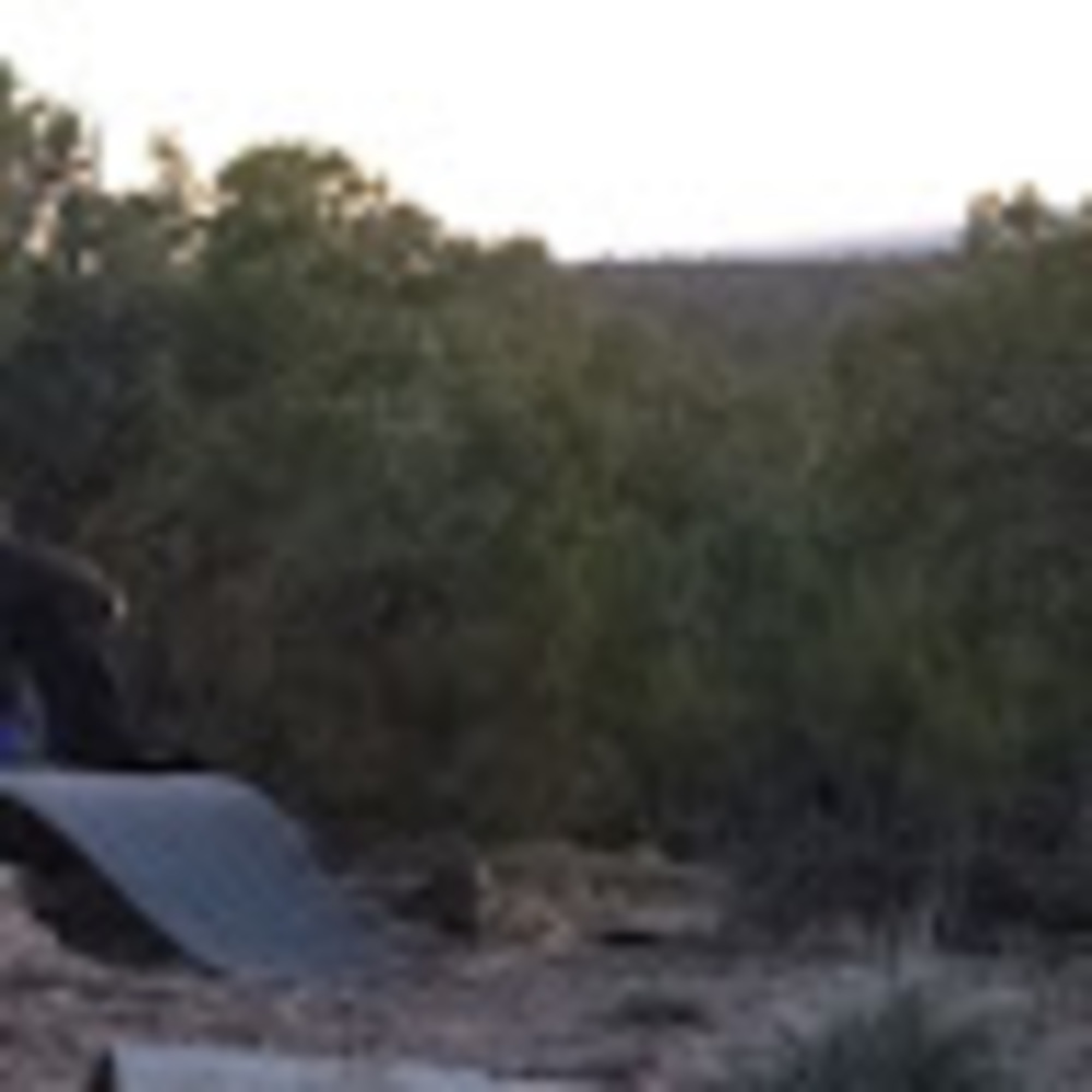 Meet your Posher, Xye